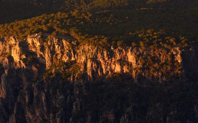 El Ayuntamiento organiza el 24 de febrero la ruta de senderismo Puntales de la Cañada-Cañada del Fresno, un espectacular recorrido circular de 11 kilómetros