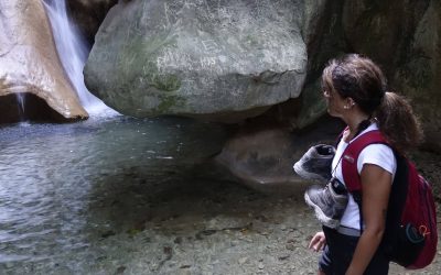 El Ayuntamiento organiza el 18 de mayo la ruta de senderismo “Las Viñas”, un vistoso trazado circular de 11 kilómetros