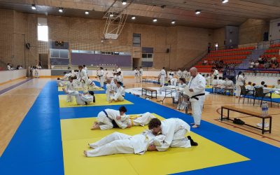 El Ayuntamiento destaca la “excelente acogida” de las primeras actividades del programa deportivo confeccionado con motivo de la Feria de la Virgen de la Capilla