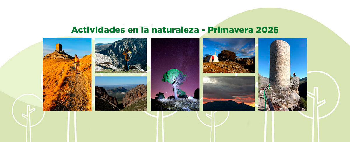 cartel actividades en la naturaleza