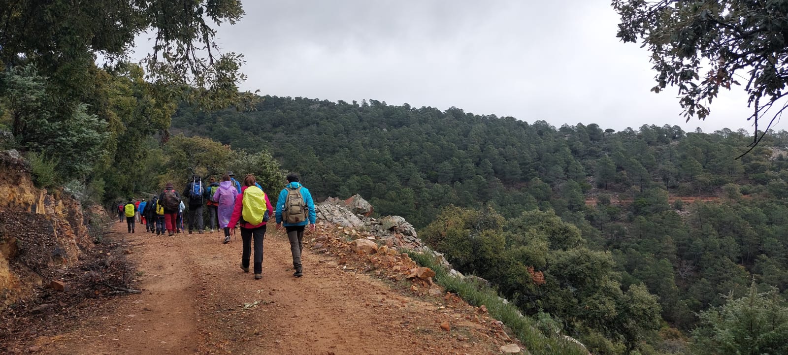 PHOTO-2026-03-06-12-03-50